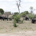 BWA NW Chobe 2016DEC04 NP 075 : 2016, 2016 - African Adventures, Africa, Botswana, Chobe National Park, Date, December, Month, Northwest, Places, Southern, Trips, Year